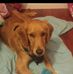 Amanda Ploetz - Facebook