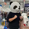 Amanda Plumb821 - @mandy4345 - TikTok
