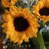 amandapogue838 - @amandapogue838 - TikTok