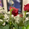 amandapogue87 - @amandapogue87 - TikTok