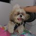 Amanda Polania Vargas - Facebook