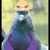 Amanda Pombo - Facebook