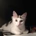 Amanda Pontius - Facebook