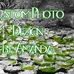 Amanda Pontius - Facebook
