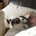 Mandy Popejoy - Facebook