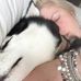Mandy Popejoy - Facebook