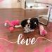 Mandy Popovich - Facebook