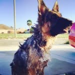 Amanda Poreda - @aespiedesigns - Instagram