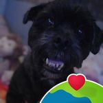 Mandy Jane Porterfield - @amandajames9990 - Instagram