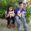 amandaposadas6 - @amanda.posadas - TikTok