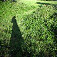 Amanda Postel - @pommelunaire - Instagram