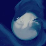 Amanda Postma - @coellarium - Instagram