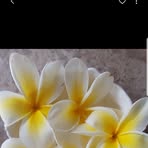 Amanda Bathe - Facebook