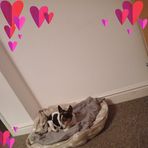 Amanda Pounds - Facebook