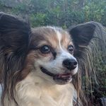 Amanda Press - @apress1225 - Instagram