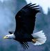 Amanda Pressley - Facebook