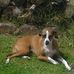 Amanda Probert - Facebook