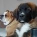 Amanda Probert - Facebook