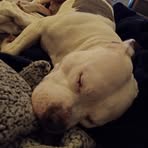 Amanda Proffitt - Facebook