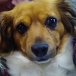 Amanda Jane profitt - @amandajaneprofitt - Instagram