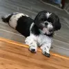 Amandaproper - @amandaproper - TikTok