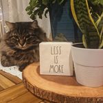Amanda Proud - @littleproudhouse - Instagram