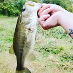 Amanda Prunty - @prunty.amanda - Instagram