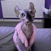 amandaprusaka - @amandaprusaka - TikTok