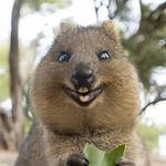 Amanda Pryce - @hufriedygroup_australia - Instagram