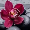 Amanda Puente - @amandapuente00 - TikTok
