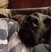 Amanda Pulley - Facebook