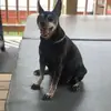 user3803932901404 - @amanda.pullensadk - TikTok