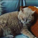 Amanda Puls - Facebook