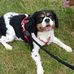 Amanda Purdy - Facebook