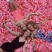 Amanda Purdy - Facebook