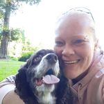 Amanda Purdy - @metcalfamanda - Instagram