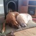 Amanda Purdy - Facebook