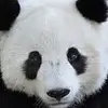 amandaputman381 - @amandaputman381 - TikTok
