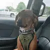 amanda putney - @gizzy.putney - TikTok