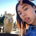 Amanda Quintero - @quintero_priv22 - Instagram