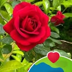 Amanda Quintero - Facebook