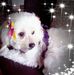 Amanda Quiroz - Facebook