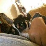 amanda quiroz - @quiroz8784 - Instagram