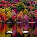 Amanda Rainey - Facebook
