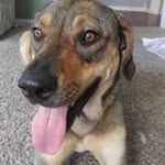 Amanda Ralph - @bulldogoutlaw_2009 - Instagram