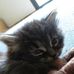 Amanda Rathburn - Facebook