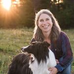 Amanda Reber - @amandareberart - Instagram