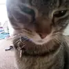 amanda_red2 - @amanda_red2 - TikTok