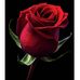 Amanda Redfern - Facebook