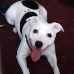 Amanda Redfern - @amanda.redfern.50 - Instagram